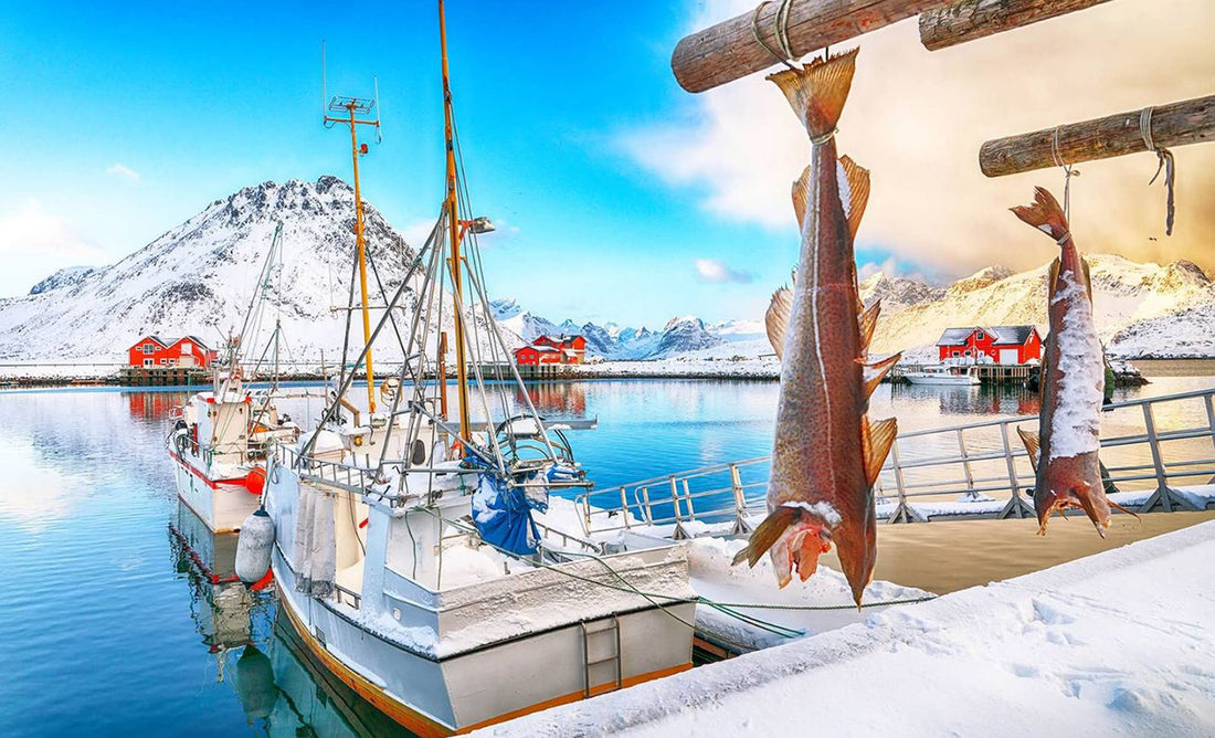挪威海角的平和小漁村，說出經濟大國背後的故事